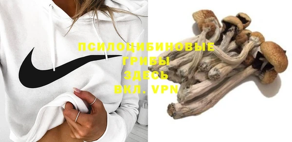 MDMA Premium VHQ Аркадак